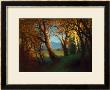 Sunset In The Nebraska Territory by Albert Bierstadt Limited Edition Print