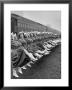 Texas Rangerettes Performing During Inauguration Festivities For Dwight D. Eisenhower by Hank Walker Limited Edition Print