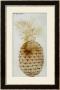 Pineapple by John White Limited Edition Print