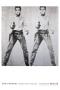 Double Elvis by Andy Warhol Limited Edition Pricing Art Print