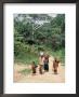 Women Coming Form The Fields, Assoumdele Village, Northern Area, Congo, Africa by David Poole Limited Edition Print