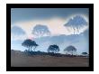 Bronzo Trees I by Miguel Paredes Limited Edition Print
