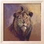 Lion by Stan Kaminski Limited Edition Pricing Art Print