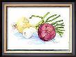 Onions by Paul Brent Limited Edition Print