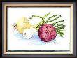 Onions by Paul Brent Limited Edition Pricing Art Print