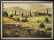 Quiet Fields Of Montalcino by Joe Sambataro Limited Edition Pricing Art Print