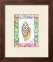 Junonia by Paul Brent Limited Edition Pricing Art Print