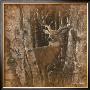 Birchwood Buck by Collin Bogle Limited Edition Print