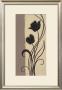 Delicate Silhouette Ii by Nel Whatmore Limited Edition Print