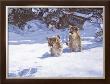 Cautious Approach by John Banovich Limited Edition Print