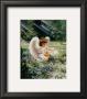 Angels Care by Dona Gelsinger Limited Edition Print