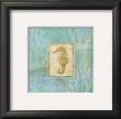 Seahorse Ii by John Zaccheo Limited Edition Print