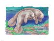 Manatee Mates by Paul Brent Limited Edition Pricing Art Print