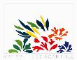 Les Acanthes by Henri Matisse Limited Edition Print