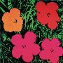 Flowers, 1964 (Sm) by Andy Warhol Limited Edition Print