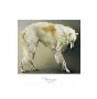 Borzoi by Richard Murray Limited Edition Pricing Art Print