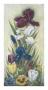 Spring Garden Ii by Helen Brown Limited Edition Print