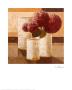 Rose Lancôme by Karsten Kirchner Limited Edition Pricing Art Print
