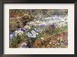 Water Garden by Childe Hassam Limited Edition Print