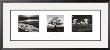 Trilogy by Ansel Adams Limited Edition Print