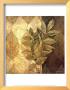 Leaf Patterns Iv by Linda Thompson Limited Edition Pricing Art Print