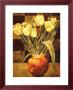 Checkered Tulips I by Linda Thompson Limited Edition Print