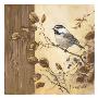 Bird Wood I by Barbara Mock Limited Edition Pricing Art Print