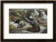 Job Lying In A Heap Of Refuse by James Tissot Limited Edition Pricing Art Print