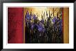 Iris Bed by Don Li-Leger Limited Edition Pricing Art Print