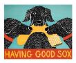Having Good Sox by Stephen Huneck Limited Edition Pricing Art Print
