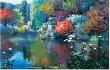 Rainbow Pond by Kent Wallis Limited Edition Print