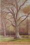 Park, Royal Oak by Harold Altman Limited Edition Pricing Art Print