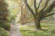 Park, Mother And Chil In A Narrow Path by Harold Altman Limited Edition Pricing Art Print