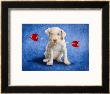 Puppy Lover by Will Bullas Limited Edition Pricing Art Print