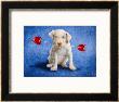 Puppy Lover by Will Bullas Limited Edition Print