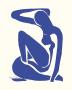 Blue Nude I by Henri Matisse Limited Edition Pricing Art Print