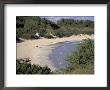 View Of Horseshoe Bay, Bermuda, Caribbean by Robin Hill Limited Edition Print