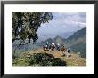 Tourists Trekking, Simien Mountains National Park, Unesco World Heritage Site, Ethiopia, Africa by David Poole Limited Edition Pricing Art Print