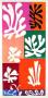 Verve - Fleurs De Neige by Henri Matisse Limited Edition Print