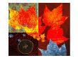 Leaves I by Miguel Paredes Limited Edition Print
