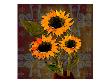 Three Sunflowers I by Miguel Paredes Limited Edition Pricing Art Print
