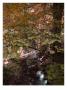 Parkway Iii by Miguel Paredes Limited Edition Print