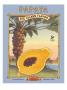 Papaya by Kerne Erickson Limited Edition Print