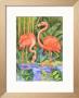 Bamboo Flamingo by Paul Brent Limited Edition Print