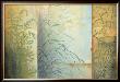 Ferns And Grasses by Don Li-Leger Limited Edition Print