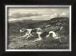 Foxhounds by John Scott Limited Edition Print