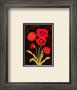 Damask Poppy by Paul Brent Limited Edition Pricing Art Print