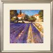 Lavender Fields by Philip Craig Limited Edition Print