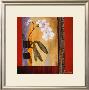 Orchid Lines I by Don Li-Leger Limited Edition Pricing Art Print