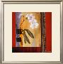 Orchid Lines I by Don Li-Leger Limited Edition Print